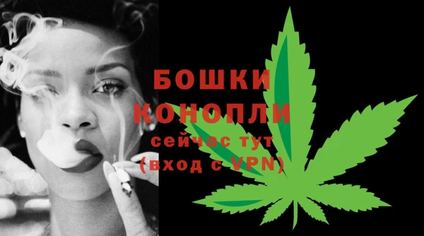 прущие грибы Болхов