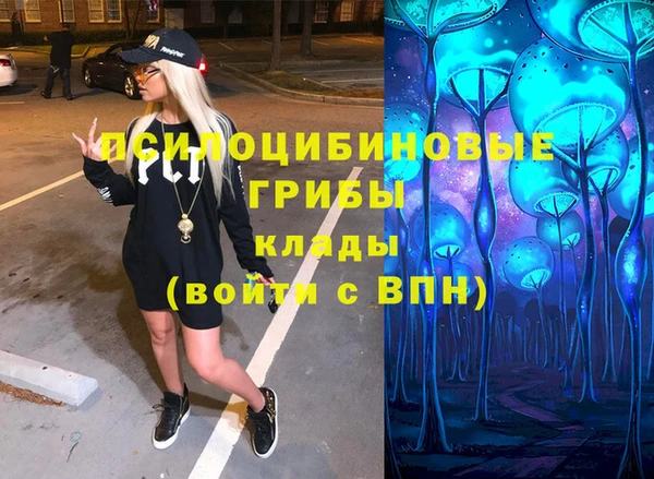 прущие грибы Болхов