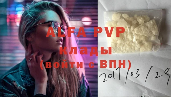 прущие грибы Болхов