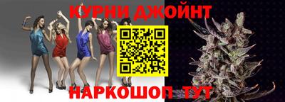 крисы Гагарин