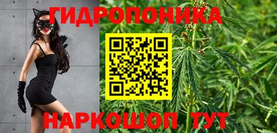 спиды Будённовск