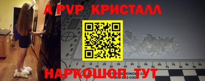 спиды Будённовск
