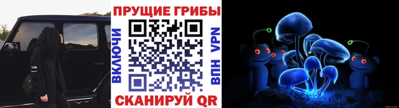 Галлюциногенные грибы прущие грибы  сколько стоит  Вольск 