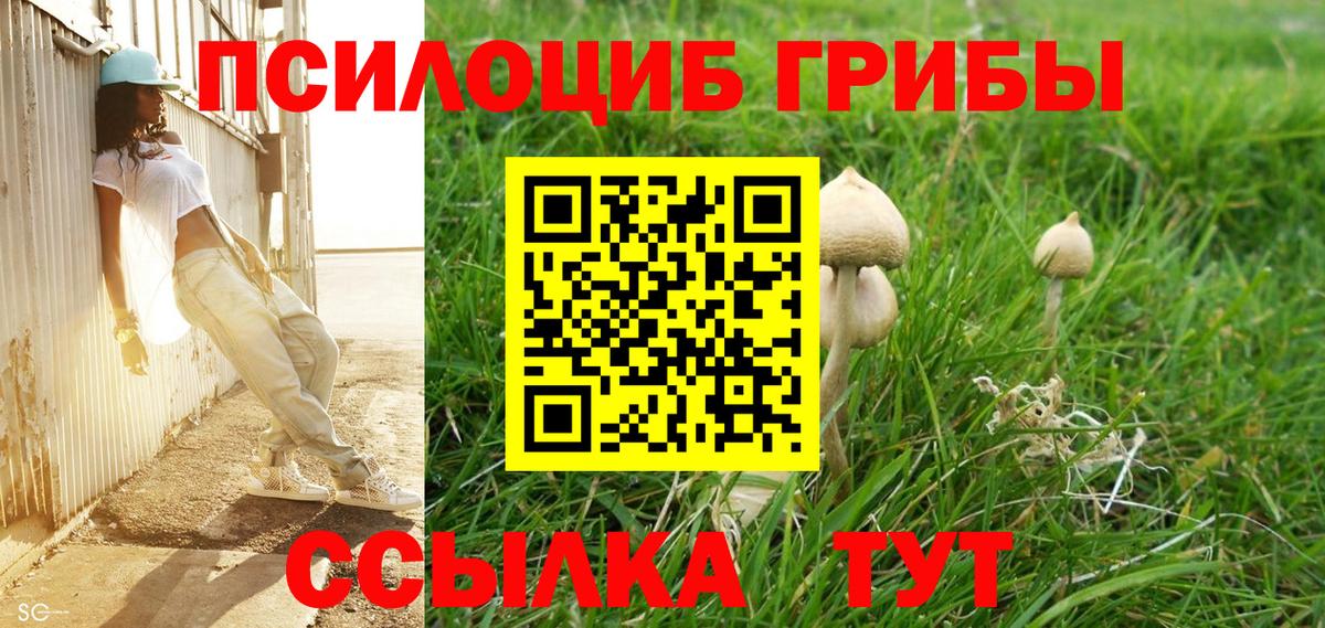 Псилоцибиновые грибы Psilocybe Вольск