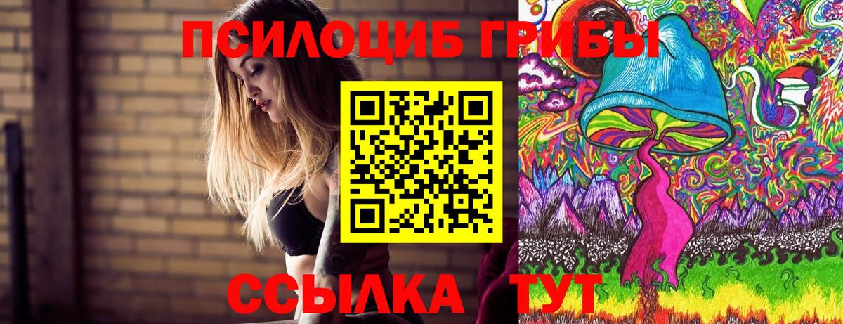 Вольск  закладки  Вход с VPN  Псилоцибиновые грибы Psilocybe 