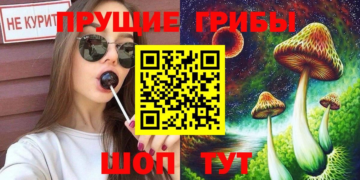 Галлюциногенные грибы Cubensis Вольск