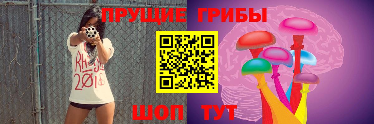 Псилоцибиновые грибы MAGIC MUSHROOMS  где купить наркоту  Вольск 
